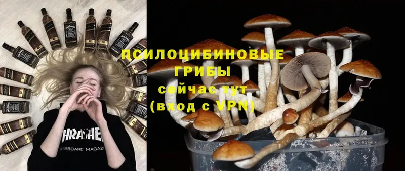 Галлюциногенные грибы Magic Shrooms  даркнет сайт  Калачинск 